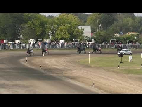 Trke "Farma Mačković-Ljutovo" 11.10.2020 Christi Aguilera A.T. - Marko Gajić