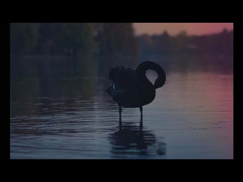 Nassim Taleb on Antifragility 01/16/2012