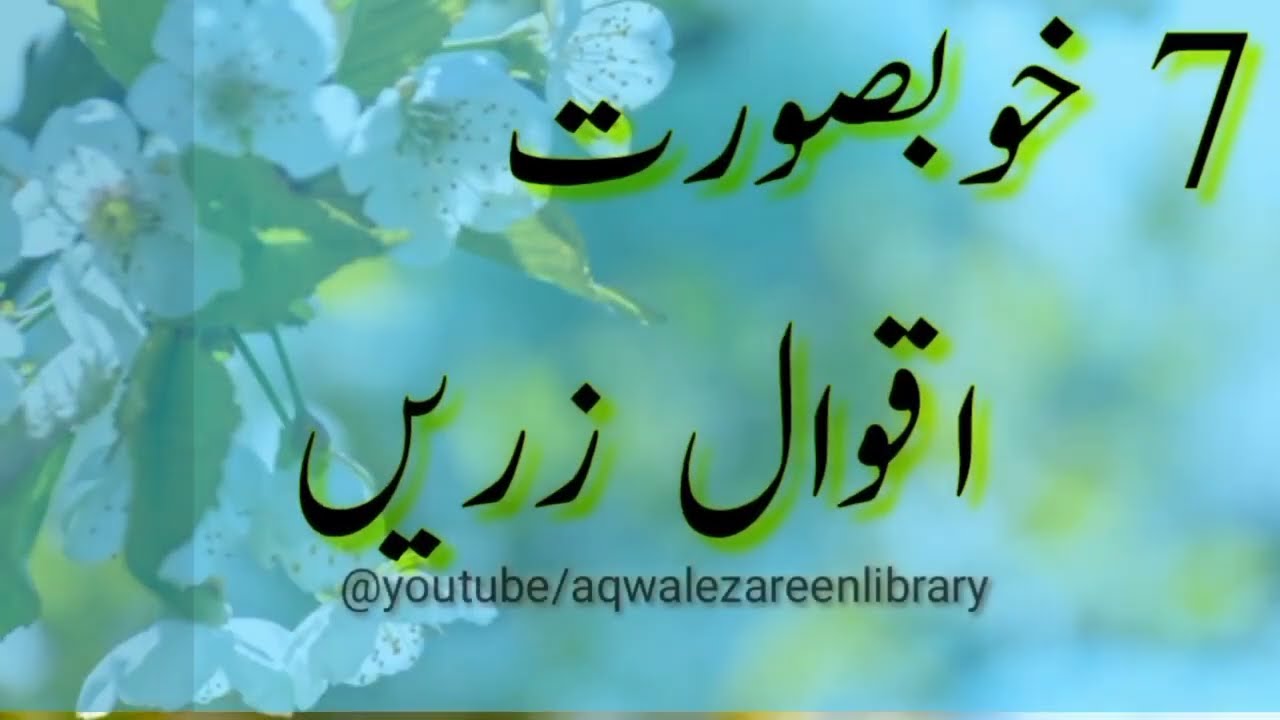 7 Best Aqwal e zareen in Urdu | Best Quotes in Hindi by  Aqwal e zareen library