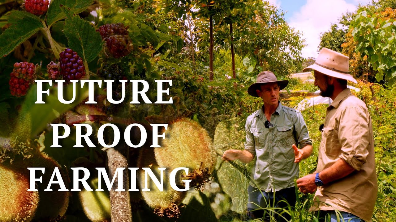 Amazing Syntropic Food Forest in just 3 Years! | Could this be the future of farming?