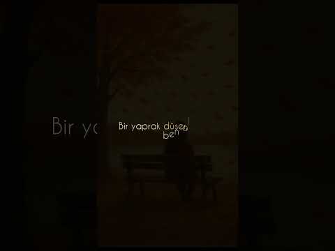 SFK - RÜZGAR GİBİ