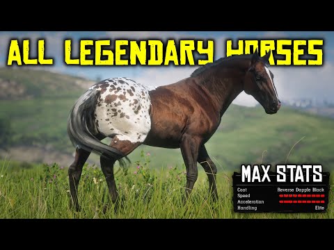 All RAREST Horses Location in Red Dead Redemption 2