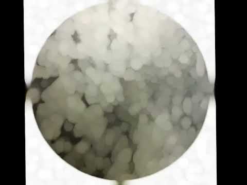 Декоративная штукатурка Oikos MARMORINO NATURALE FINE