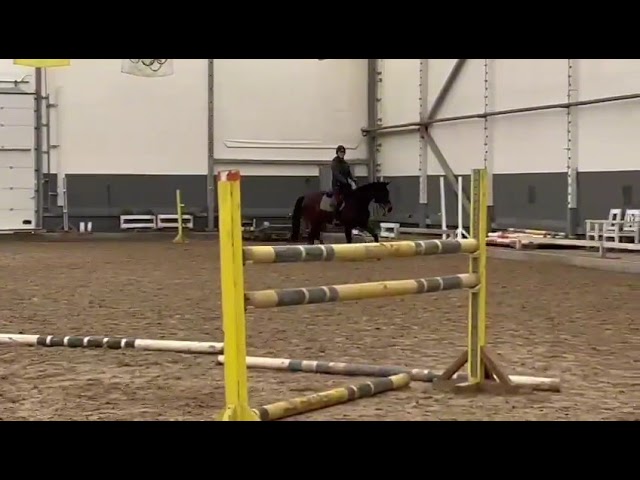 PAGLIACCI VON SEEDER