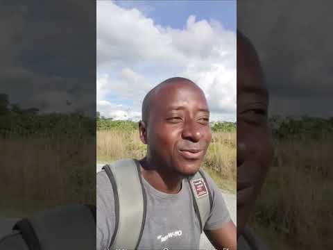 Territorio Mágico #biodiversidad #naturaleza #paisajesnaturales #destacar #viajeinolvidable