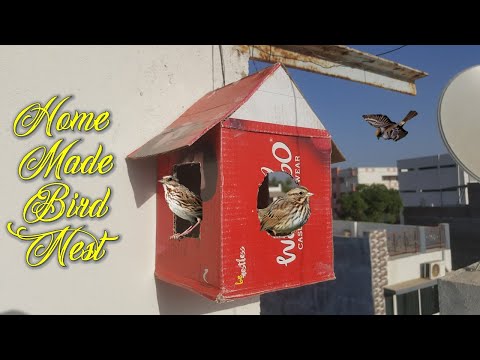 How to make bird nest | Home made nest from cardboard | Cardboard Crafts |