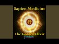 The Golden Elixir (Jindan) - Sapien Medicine - Topic The Golden Elixir (Jindan)