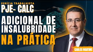 COMO FAZER ADICIONAL DE INSALUBRIDADE NO PJE-CALC? | PERÍCIA TRABALHISTA - CARLOS MARTINS