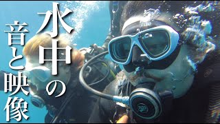 【夫婦のVlog】沖縄ダイビング！DJI Pocket 2防水ケースで撮影！【アラサー夫婦】