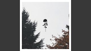 Lovesick (feat. SayWeCanFly)