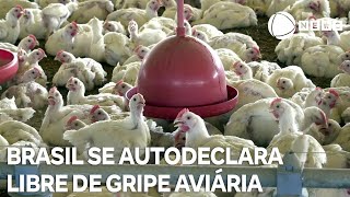 Miniatura do vídeo