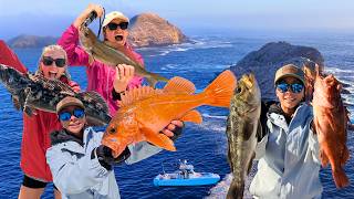 So Many Different Species! | Fishing the Coronado Islands (out of San Diego)
