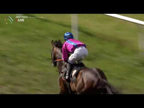 King David - Pokalløb (L) 2021