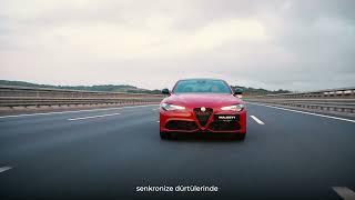 Alfa Romeo | Majesty Motors