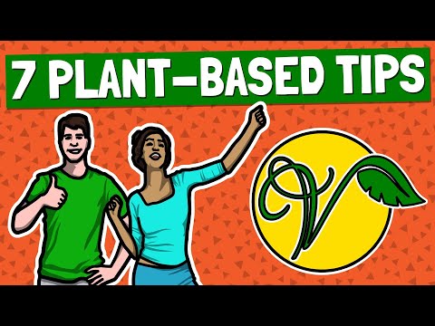 The Ultimate Guide to Plant-Based Nutrition