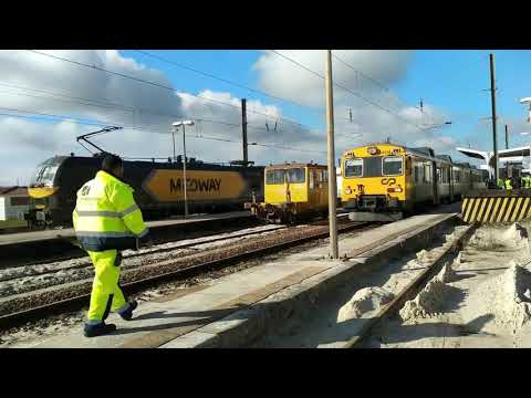 Drasine no Louriçal - 24jan19