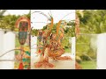 Chloe Bailey St Lucia Carnival 2025
