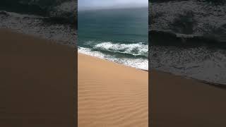 The Namib desert meets the atlantic ocean in Southern Africa #namibia #nature #ocean #shorts #viral