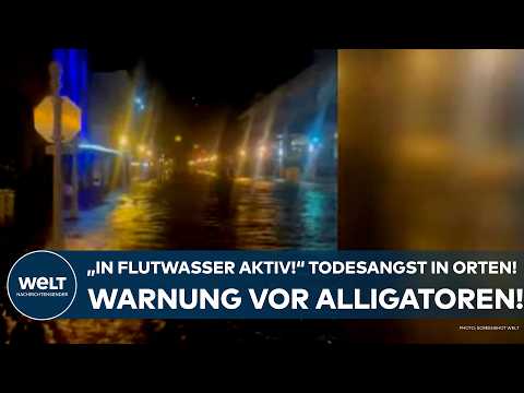 USA: Monstersturm "Milton"! "In Flutwassern!" Angst in Siedlungen! Jetzt gibt es Alligatorenwarnung!