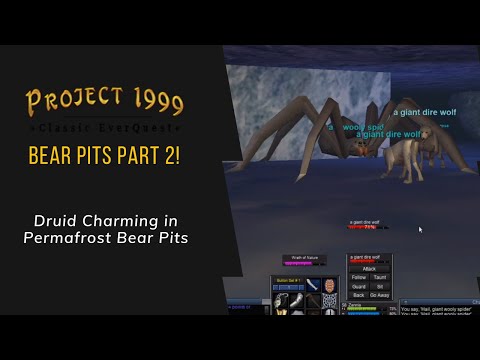 Everquest P99 - Druid: Charming in Bear pits part 2!