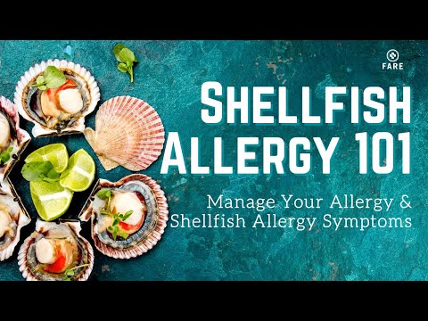 image-Can you eat squid with a shellfish allergy?