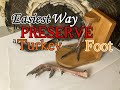 Simple Preservation Of A Turkey Foot For Display