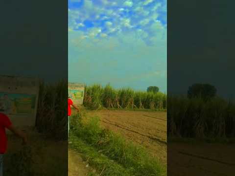 dost Purposeshttps://displaypur.com fitnessBest #fitness hashtags for Instagram, TikTok, YouTube in