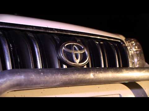 Rock Throwing Damages Seven Cars at Coffs Harbour