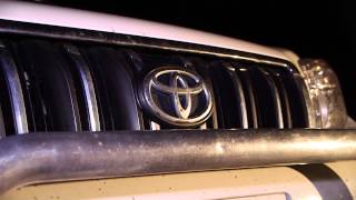 Rock Throwing Damages Seven Cars at Coffs Harbour