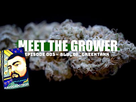 Meet the Grower Ep. 003 - Blu_of_Greentank