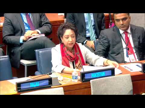 Maleeha Lodhi on Indian hegemonistic designs