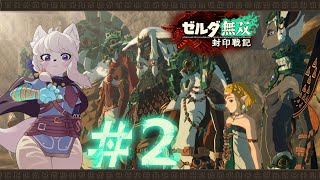 【#ゼルダ無双封印戦記 】ゼルダがしっかり主人公！ティアキンの時のゼルダの頑張りを追体験だ！！【PART2/コメント大歓迎！】