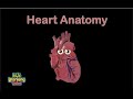 The Heart Anatomy Song