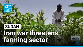 Iran-US conflict disrupts Sudan's farming as civil war deepens food crisis