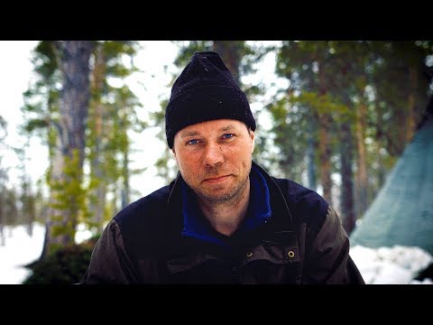 Sob (Rangifer tarandus) — chov, ustajnenie a úžitkovosť