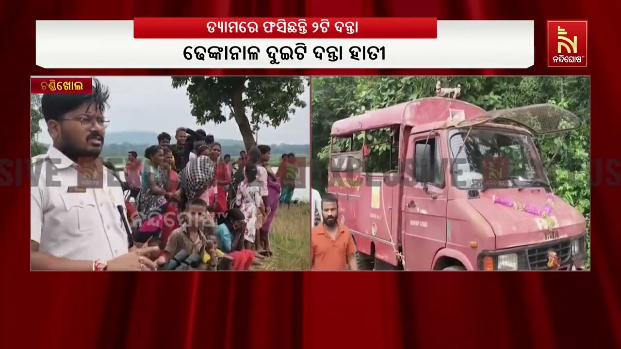 ଡ୍ୟାମରେ ଫସିଛନ୍ତି ଦନ୍ତା ହାତୀ, ବଡ଼ଚଣା ବ୍ଲକ ସମିଆଁ ପଞ୍ଚା