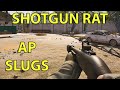 Shotgun Rat , AP Slugs - Arena Breakout Infinite