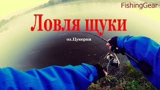 Рыбалка на хищника в винницкой области