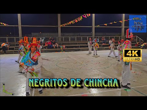 Negritos de Chincha / Ica / Tusuy Llaqtay ( Festival de Traycu Peru 2026 )