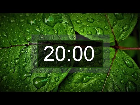 Countdown timer, 20 minutes with relaxing music for concentration