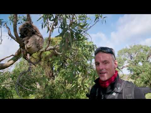 Australian Coastal Safaris