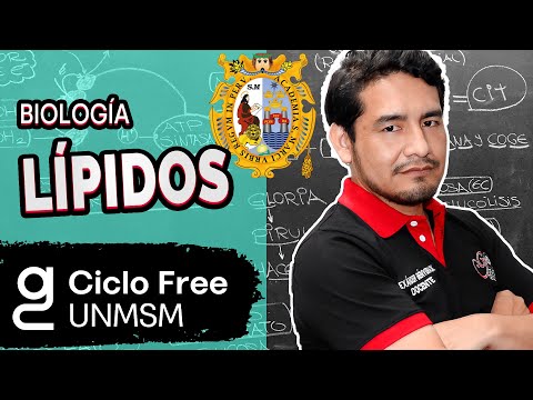 BIOLOGÍA - Lípidos [CICLO FREE]