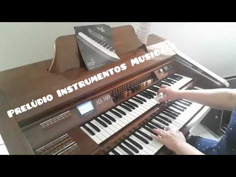Harmonia HS 500 Orquestra - Órgão completissimo