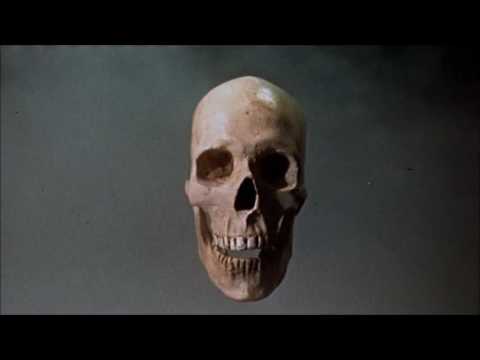 X Ray Cat Trio - Blue Drag