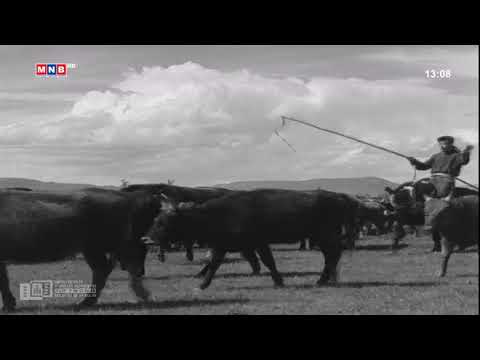 Морьтой ч болоосой киноны Дондогийн дуу