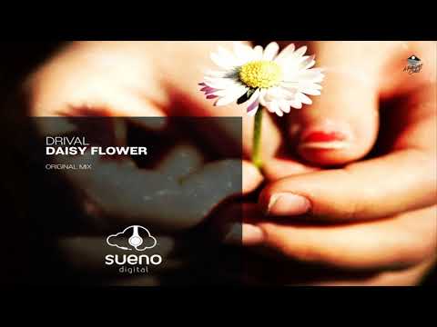 Drival - Daisy Flower (Original Mix) [Sueno Digital]