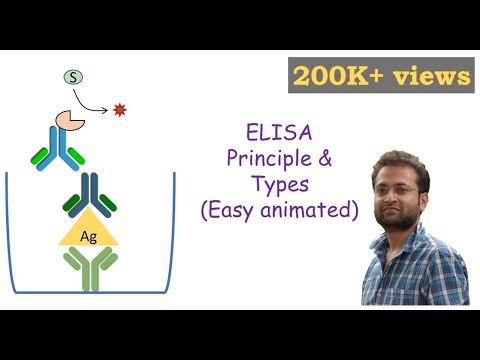 ELISA (Enzyme-linked Immunosorbent Assay)
