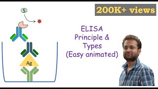 ELISA (Enzyme-linked Immunosorbent Assay)