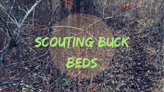 Deer Scouting 2018 | Buck Bedding | Doe Bedding