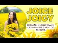 Desvendando Joice/Joicy: Origens e Significado de um Nome Único